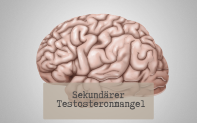Sekundärer Testosteronmangel